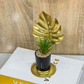 articel decor