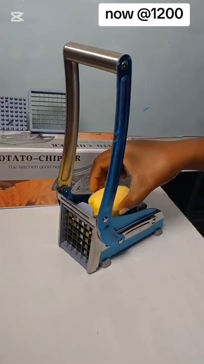 Coupe-frites en Inox Découpe Pomme de Terre